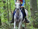 endurance     sport endurance