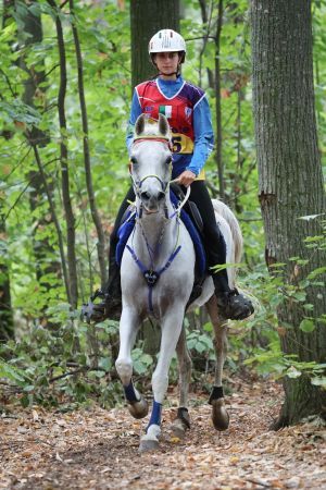 endurance     sport endurance