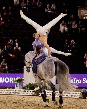 volteggio 1   j safra sarasin fei vaulting world cup final   freestylerid