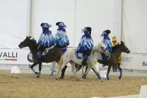 carosello pony  sg31224