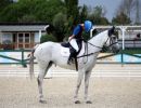 dressage giol5012