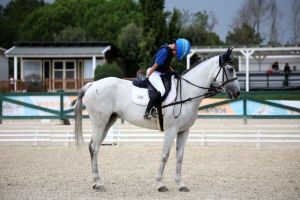 dressage giol5012