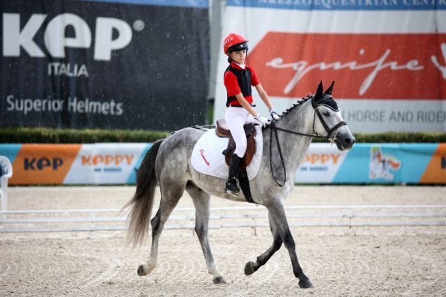 dressage giol5196