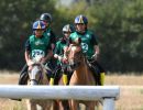 endurance gio
