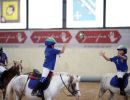 horseball gii