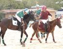 polo gioc