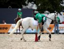 pony games gvdl8119