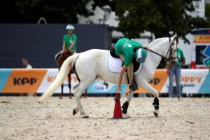 pony games gvdl8119
