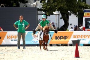 pony games gvdl8307