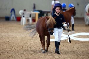 presentazione   mers0015