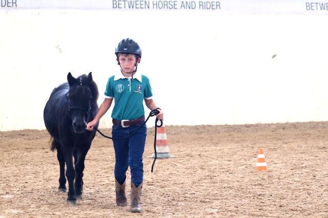 reining   mers0919