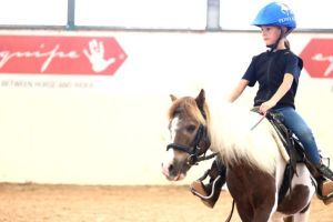reining   mers1005