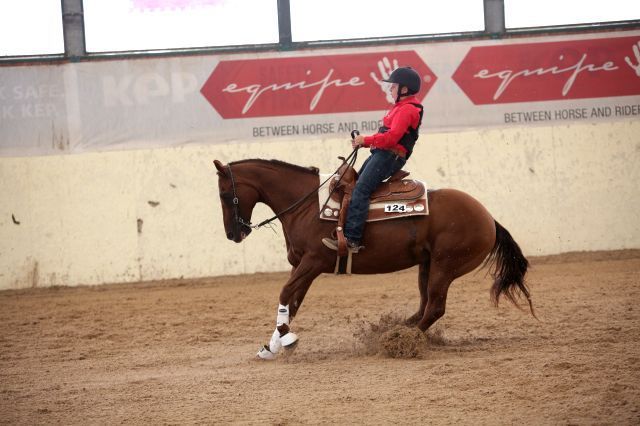 reining gii