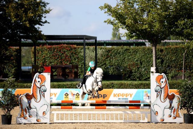 salto   merl3677
