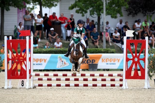 salto   merl4727