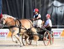 attacchi dressage