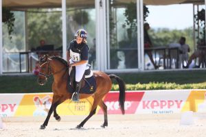 completo dressage