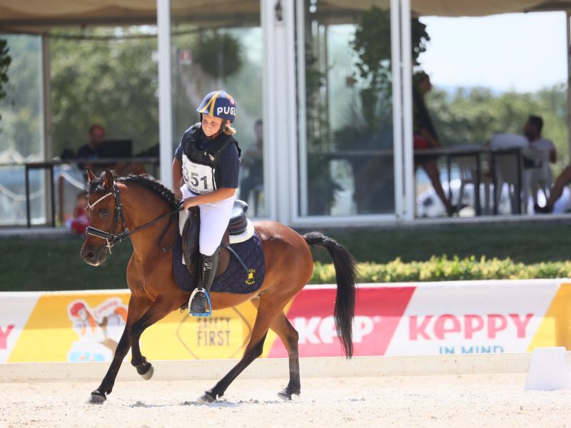 completo dressage
