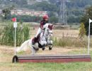 cross completo