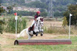 cross completo