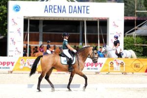 dressage