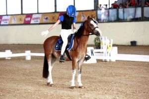 presentazione