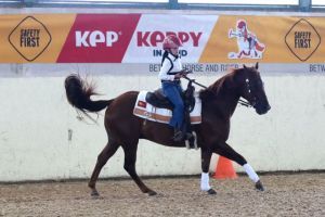 reining