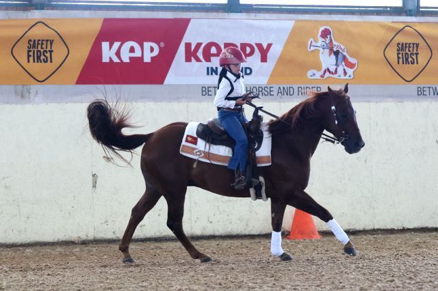 reining