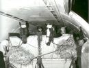olimpiadi tokio cavalli in aereo