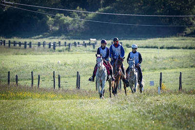 ENDURANCE_CEF_ARGENZIANO