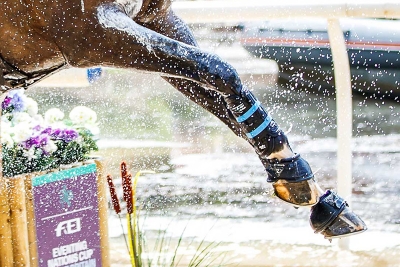 GENERICA-FEI-EVENTING-LIBBY-LAW