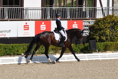 MANZATO-EUROPEI-2023