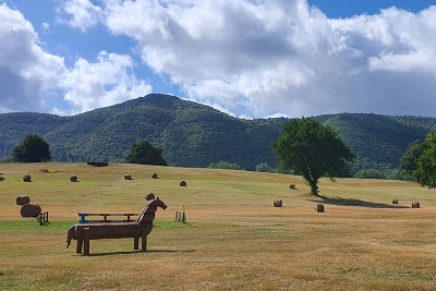 PRATONI-PANORAMICA-6-ARGENZIANO