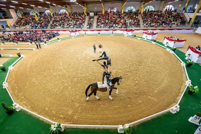 STADL-PAURA-vaulting-3