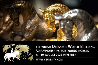 VERDEN-2025