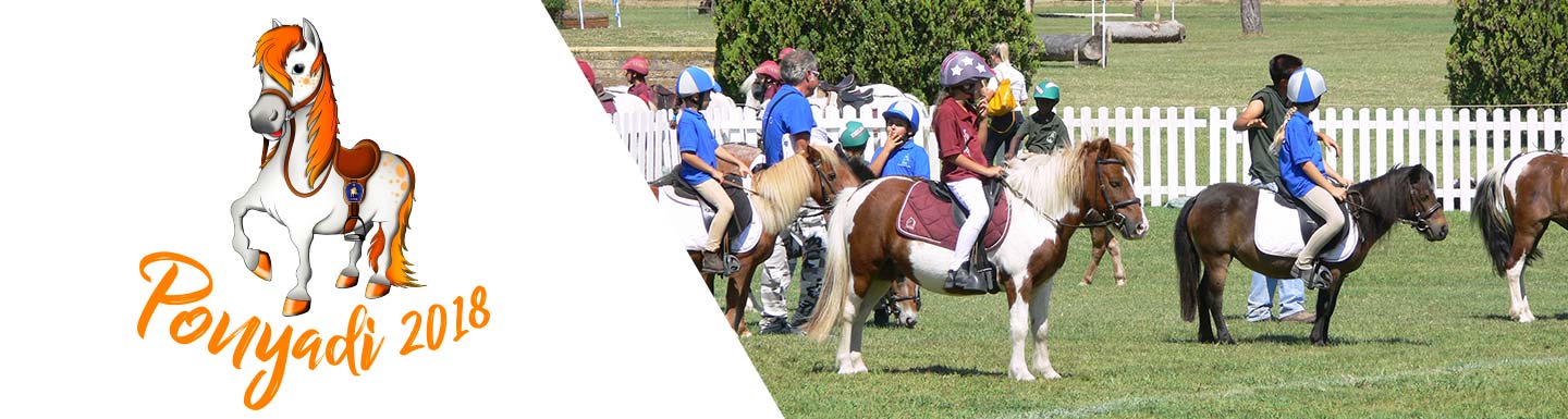 ponyadi 2018 testata