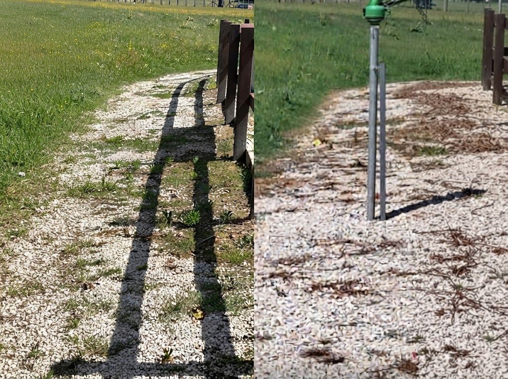 Confronto tra un camminamento trattato con SUNPOWER e uno non trattato