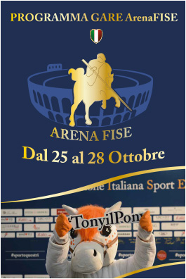 programmagare arenafise