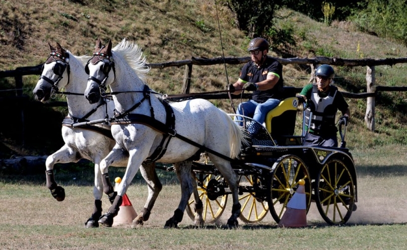 ATTACCHI ABBAZIA LUGLIO 2026