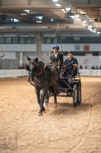 13b101fa-604d-46b3-9393-26d6272fb9f2