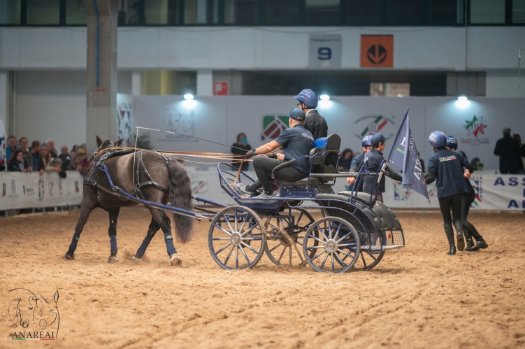 417800fa-aa87-4410-b21a-b4d1ecc608df