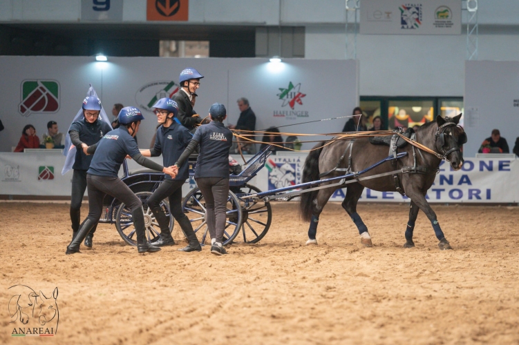 4bbd00c7-b800-460d-ac20-9697e469ab6f