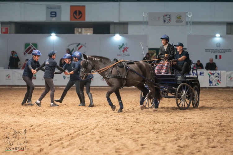 8aedc13c-748f-4378-a903-13ae529234e0