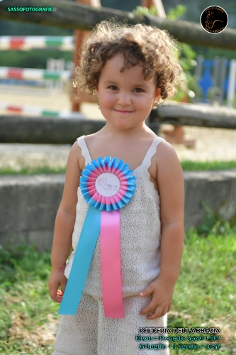 FILE_PRK_4028