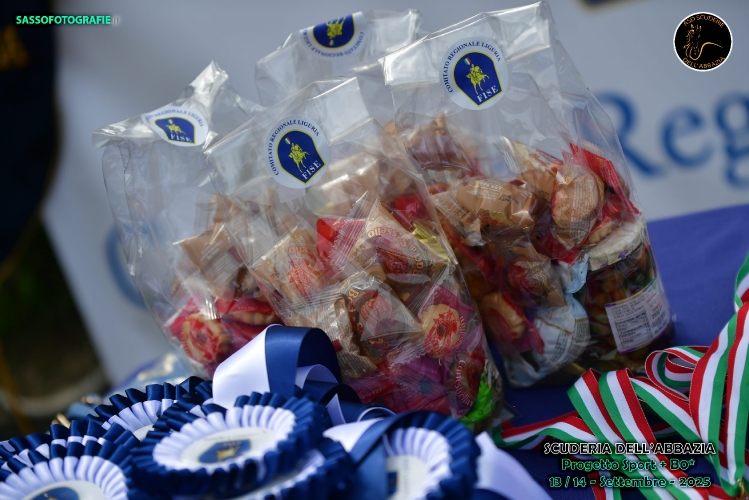 FILE_PXS_1158