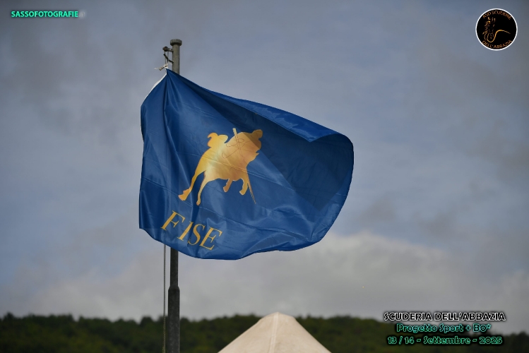 FILE_PXS_1165