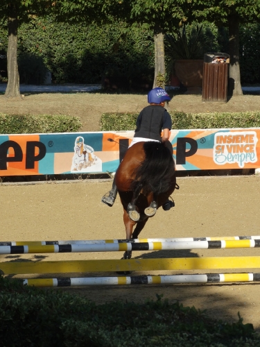 image00007