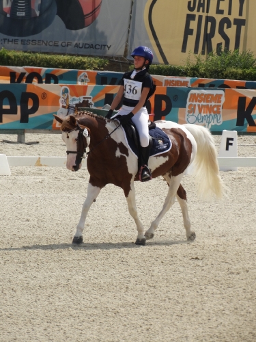 image00016