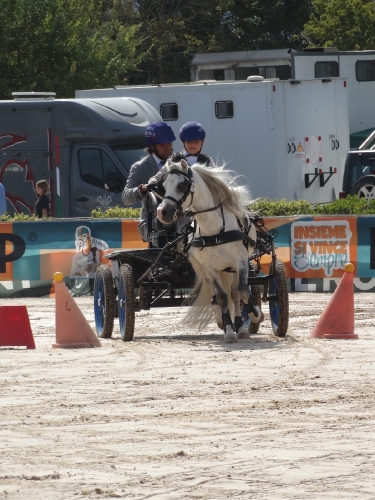 image00031