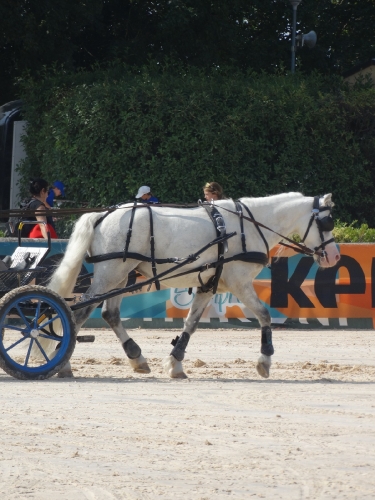 image00032